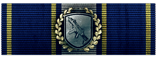 http://wb.battlefieldsecrets.com/media/bf3/awards/large-awards/BF3_r02_500x186.png