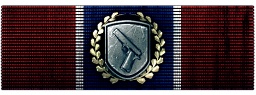 http://wb.battlefieldsecrets.com/media/bf3/awards/large-awards/BF3_r05_500x186.png