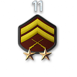 http://wb.battlefieldsecrets.com/media/bf3/ranks/r_large/BF3_r11_250x250.png