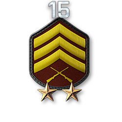 http://wb.battlefieldsecrets.com/media/bf3/ranks/r_large/BF3_r15_250x250.png