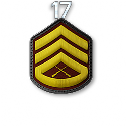 http://wb.battlefieldsecrets.com/media/bf3/ranks/r_large/BF3_r17_250x250.png