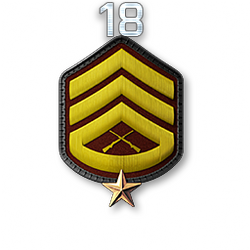 http://wb.battlefieldsecrets.com/media/bf3/ranks/r_large/BF3_r18_250x250.png