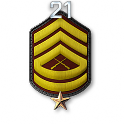 http://wb.battlefieldsecrets.com/media/bf3/ranks/r_large/BF3_r21_250x250.png