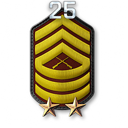 http://wb.battlefieldsecrets.com/media/bf3/ranks/r_large/BF3_r25_250x250.png