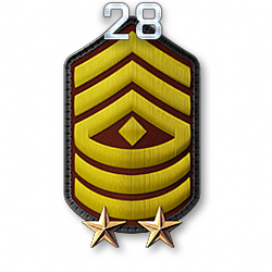 http://wb.battlefieldsecrets.com/media/bf3/ranks/r_large/BF3_r28_250x250.png