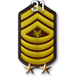 http://wb.battlefieldsecrets.com/media/bf3/ranks/r_large/BF3_r31_250x250.png