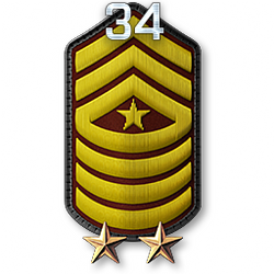 http://wb.battlefieldsecrets.com/media/bf3/ranks/r_large/BF3_r34_250x250.png