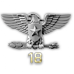 http://wb.battlefieldsecrets.com/media/bf3/ranks/r_large/BF3_ss18_250x250.png