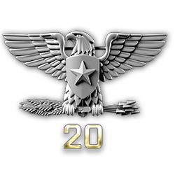 http://wb.battlefieldsecrets.com/media/bf3/ranks/r_large/BF3_ss20_250x250.png