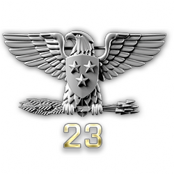 http://wb.battlefieldsecrets.com/media/bf3/ranks/r_large/BF3_ss23_250x250.png