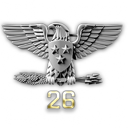 http://wb.battlefieldsecrets.com/media/bf3/ranks/r_large/BF3_ss26_250x250.png