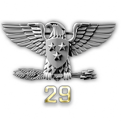 http://wb.battlefieldsecrets.com/media/bf3/ranks/r_large/BF3_ss29_250x250.png