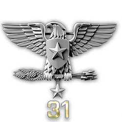 http://wb.battlefieldsecrets.com/media/bf3/ranks/r_large/BF3_ss31_250x250.png