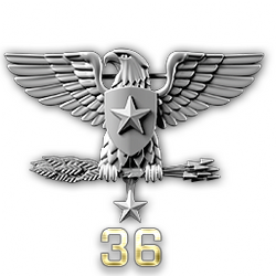 http://wb.battlefieldsecrets.com/media/bf3/ranks/r_large/BF3_ss36_250x250.png