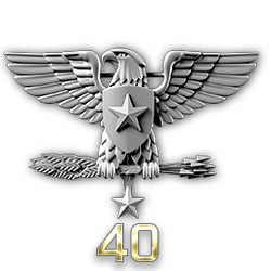 http://wb.battlefieldsecrets.com/media/bf3/ranks/r_large/BF3_ss40_250x250.png