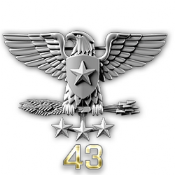 http://wb.battlefieldsecrets.com/media/bf3/ranks/r_large/BF3_ss43_250x250.png