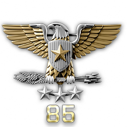 http://wb.battlefieldsecrets.com/media/bf3/ranks/r_large/BF3_ss85_250x250.png